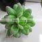 CHY040920 Selling Artificial Plants Succulent tropical Plant Artificial Desert Plants