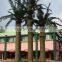 SJ12001204 Fake plastic big trees plam tree