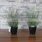 Potted plastic grass bonsai