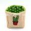 New Design Cactus Printing Jute With Felt Plant Pot Cover Bags