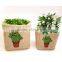 New Design Cactus Printing Jute With Felt Plant Pot Cover Bags