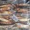 new landing seafrozen wholesale argentina squid for bait