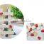 Mini CUTE fashional Resin decoration, Mini coccinella septempunctata Beatles Micro landscape furnishing articles