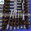 Common Rail Diesel Injector 0445110629/0 445 110 629