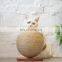 Pet toy sisal scratching/ climbing ball for cat