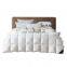Thick And Warm Goose Feather And Down Duvet Quilt For Four Seasons