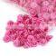 Auto Car Fasteners Plastic Car Upholstery Clips