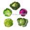 Biofungicide for Cabbage Vegetables Pieris rapae and Plutella xylostella WP Pest Control PrNPV