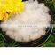 Cheap Bulk Tasteful Nata De Coco Coconut Jelly Fruit Jelly Pudding With Free Logo Printing