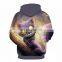 Sublimation Hoodies Sublimation Hoodies OEM 100% Cotton Sudaderas 3D Print Men Unisex Women