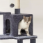 Multi-level kitten tree tower, cat tree with spacious cat nest, sisal post and toy ball, grey