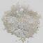 Poly (lactic Acid PLA) Particles Degradable Plastics 3D Printing Suction Extruded Sheet