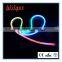 IP65 Waterproof LED Rope Tube CE ROHS Approved