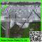 orchard used plastic hail proof netting for fruit protection