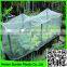 Green Vegetable Plants Trellis Insect Nets