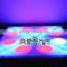 2015 hot selling DMX controlled dance floor,portable cheap led flower dance floor,dance floor