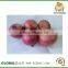 Fresh red shallot ,Fresh onion shallot,Exporter of onion