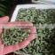 Poultry and livestock and fish feed pellets machine / animal feed pellet making machine for sale
