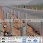 114mm Galvanized Steel Pipe for sale