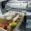 Best Quality Ceramic Material Flatbed UV Printer (0086-15221974946)