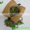 Good quality snow white cheapest price dried shine pumpkin kernels
