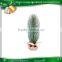 Christmas decorations pine cones Christmas tree
