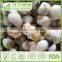 Wasabi Coated Soybeans Mix