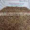 Best quality Cumin Seed and Black Cumin for Importers