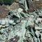 Bulk Agricultural Grade Natural Green Zeolite