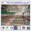 Poultry Chicken Farming of Broilers