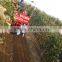 deep ditcher fertilizer distributor 2FSS-80