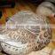 OEM Plastic PE Duck Decoys Weight Duck Decoys Full Body Decoy Hunting