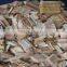 wood chipping machine/wpc chipping machine /recycled wood chipper