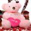 300cm Huge Stuffed Plush Pink Teddy Bear With Heart Custom Pretty Soft Plush Valentine Gift Big Giant Teddy Bear