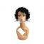 short curly wig human hair lace front wig