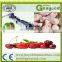IQF quick freezing sea cucumber / seafood frozen machinery / blast freezer tunnel machine