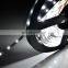 WS2812B 2813 Led Strip 50meters Length Available