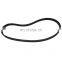 Serpentine V-Ribbed Belt For Audi A3 VW Golf IV 4 1.6 1.8 1.8t 1.9 06A260849E