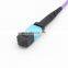 MTP Om4 50/125 Multi-Mode 8/12-fiber MTP MPO Fiber Optic Patch Cord