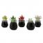 cheap ceramic artificial natural succulent plants bonsai with pot set for home decor
