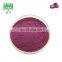 Water soluble red cabbage powder
