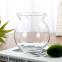 Factory Outlet Transparent Lace Fish Tank Aquarium Glass Round Clear Vase Mini Betta Fish Tank