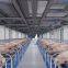 Steel Structure Cow/Sheep/Horse Shed Prefab Steel Farm Building Horse Barn Cow House Design