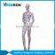 high quality Aquagraphics abstract stand female mannequin