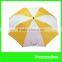 Ralcam High Resolution 80 Degree Angle of View Medical Wi-fi Camera Module