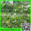 SUPER TRELLIS plant support ponics scrog & pond safety grid netting