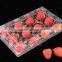 plastic fruit container punched fruit punnet strawberry box,wholesale Clear PET Punnets Packing Fruits