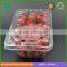 China wholesale disposable cherry tomatoes packaging box with lid