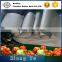 Low price Good quality Non-toxic rubber Multi layers canvas Dry Food Fruit Product Conveyor Belt