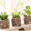 Factory Wholesale Decor Small Potted Succulent Plants Artificial Succulents Artificial Mini Succulents